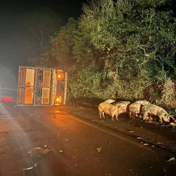 Colisão entre caminhão e caminhonete deixa ferido na BR-386, em Iraí - foto 2