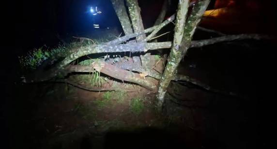 Acidente na ERS-135 deixa três feridos entre Passo Fundo e Coxilha - foto 3