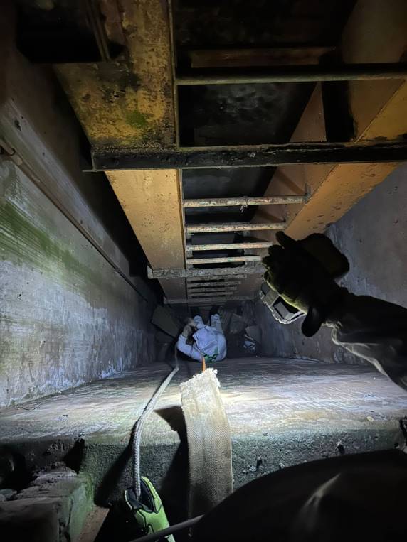 Corpo de Bombeiros resgata cachorro de fosso em Giruá sob ataque de abelhas - foto 4