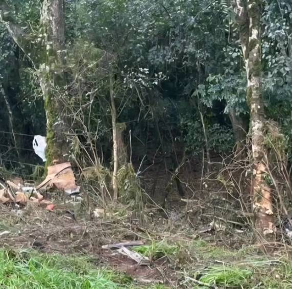 Acidente na RS-211 em Paulo Bento deixa adulto e criança feridos após colisão em árvores - foto 4
