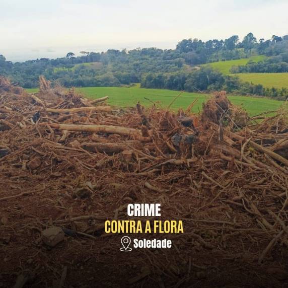 Ação do 3º Batalhão Ambiental identificou supressão de 2,29 hectares de vegetação nativa e uso de queimada irregular em área de Mata Atlântica.