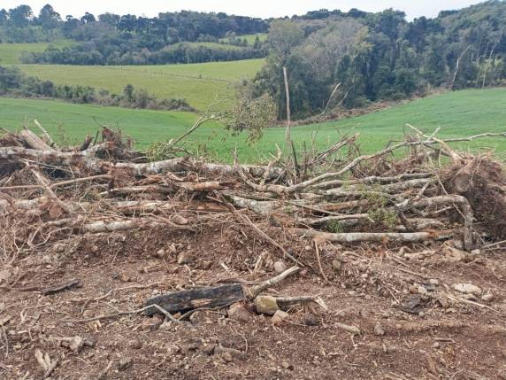 Brigada Militar flagra desmatamento ilegal em Soledade - foto 2