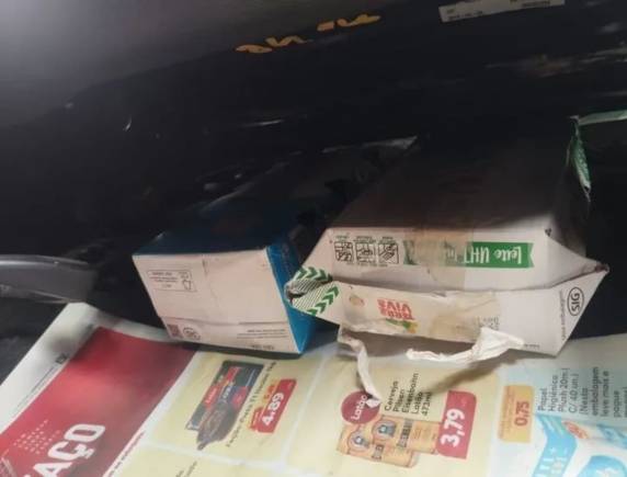 PRF resgata aves silvestres em extinção no Vale do Taquari - foto 4