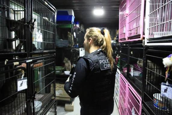 Ex-secretária do Bem-Estar Animal foi alvo de operação; prefeitura abriu sindicância para apurar o caso