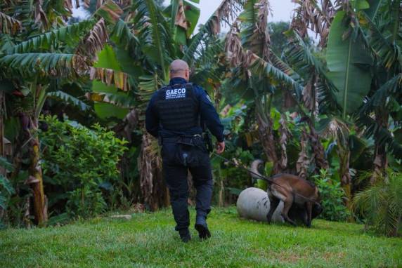Operação Contas Abertas: segunda fase é deflagrada pelo Ministério Público na Serra Gaúcha - foto 3