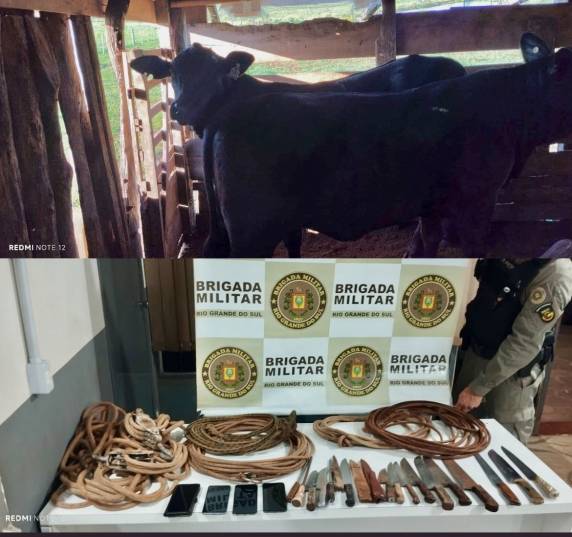 Brigada Militar recupera gado furtado e apreende carne e armas em propriedade rural de Garruchos - foto 5
