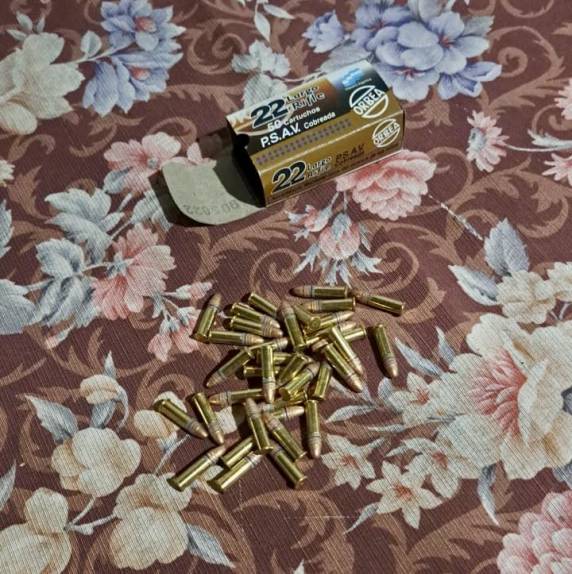 Brigada Militar recupera gado furtado e apreende carne e armas em propriedade rural de Garruchos - foto 3