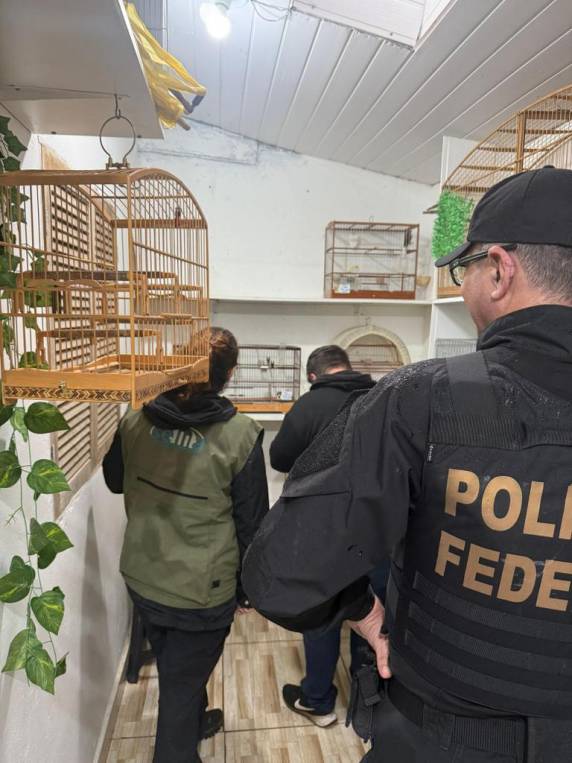 Operação Libertas: MPRS e mais 10 Estados participam de ação contra o tráfico de animais silvestres - foto 3