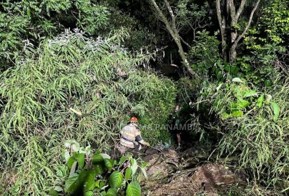 Motociclista fica ferido em grave acidente na BR-158, em Panambi - foto 2