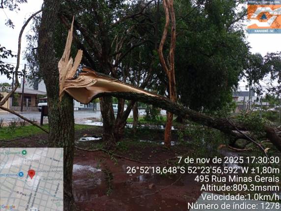 Temporal severo causa estragos no Oeste de Santa Catarina - foto 3