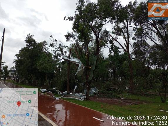 Temporal severo causa estragos no Oeste de Santa Catarina - foto 5