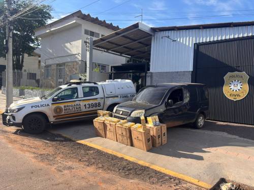 Carga avaliada em mais de R$ 136 mil foi encontrada em veículo durante ação da Operação Protetor de Divisas e Fronteiras; ninguém foi preso.