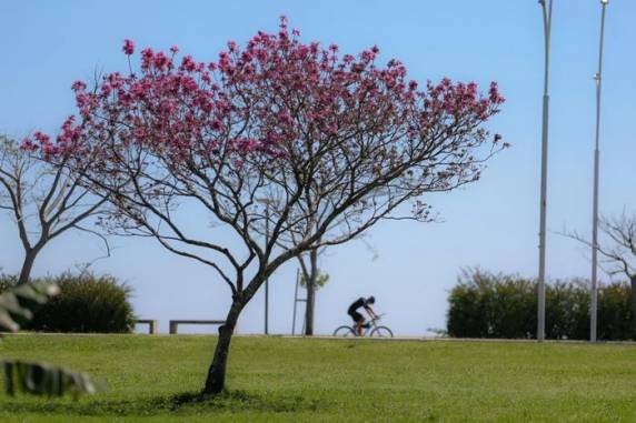 Pode haver névoa ao amanhecer em áreas da Serra e da Campanha, mas o dia segue sem previsão de chuva