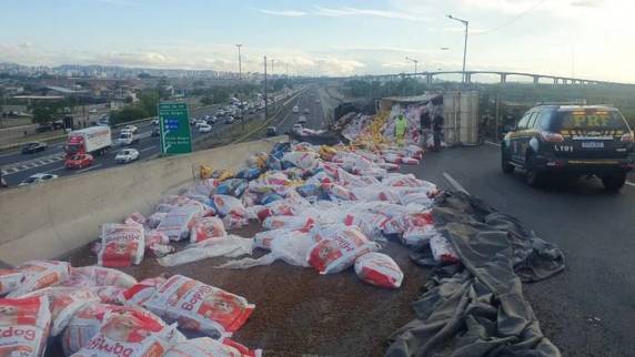 Motorista morre após caminhão tombar e pegar fogo no acesso da BR-448 a Porto Alegre - foto 2