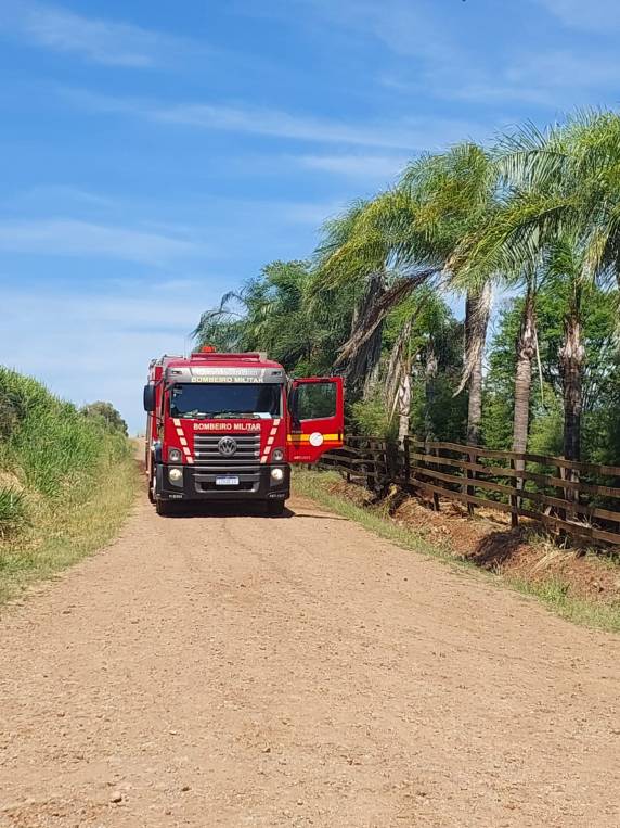 Incêndio atinge área de vegetação no interior de Boa Vista do Buricá - foto 2