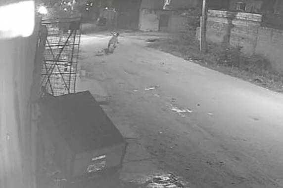 Imagens mostram homem agredindo idoso no meio da rua
