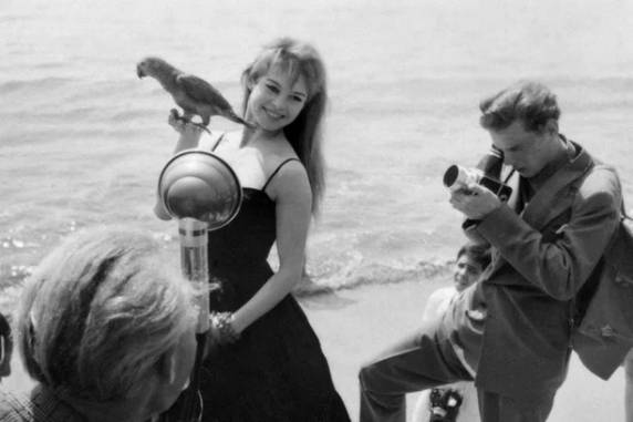 Morre Brigitte Bardot, ícone do cinema internacional e defensora da causa animal - foto 2