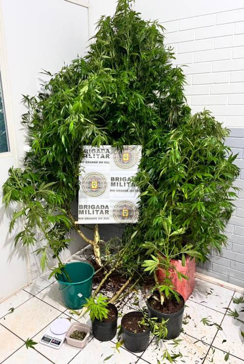 Pris?o ocorreu na noite de domingo (28), durante a Operação Cerco Fechado, com apreensão de maconha e balança de precisão