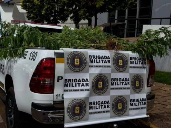 Ação no bairro Santa Catarina resultou na apreensão de oito pés de maconha e de um rifle calibre .22 com luneta e silenciador