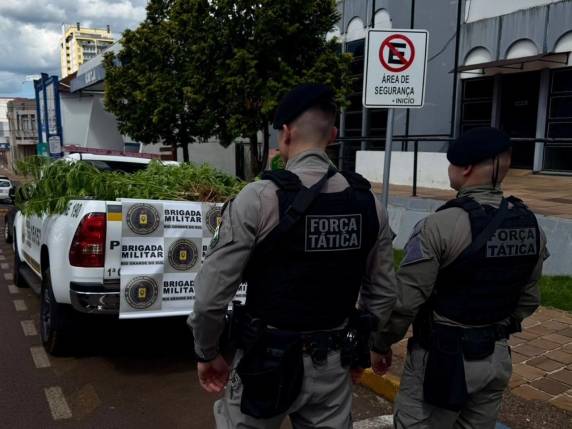 Ação no bairro Santa Catarina resultou na apreensão de oito pés de maconha e de um rifle calibre .22 com luneta e silenciador