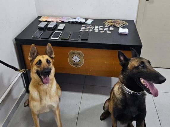Antes de ser apreendido o rapaz pulou muros e entrou em residências próximas, sendo localizado posteriormente escondido nos fundos de uma das casas.