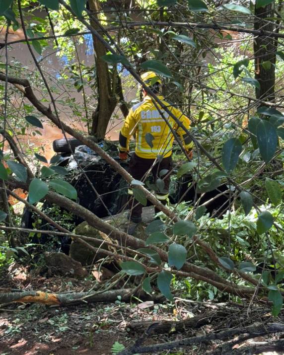 Motorista fica ferido após veículo cair em ribanceira de sete metros em São Domingos - foto 3