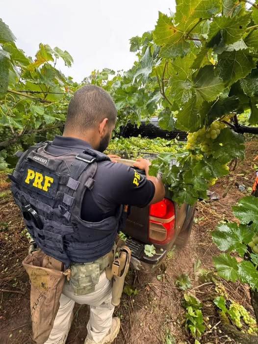 Perseguição iniciou na BR-116, em Caxias do Sul, e terminou em área rural de Farroupilha; motorista abandonou o veículo e fugiu para o matagal