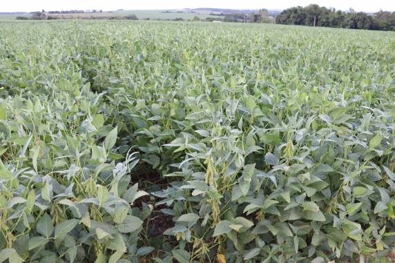 Evento que integra a programação da Fenasoja 2026 reunirá especialistas, executivos e lideranças do agronegócio para discutir tendências, inovação, clima, mercado e o futuro da cadeia produtiva da soja no Brasil e no mundo.