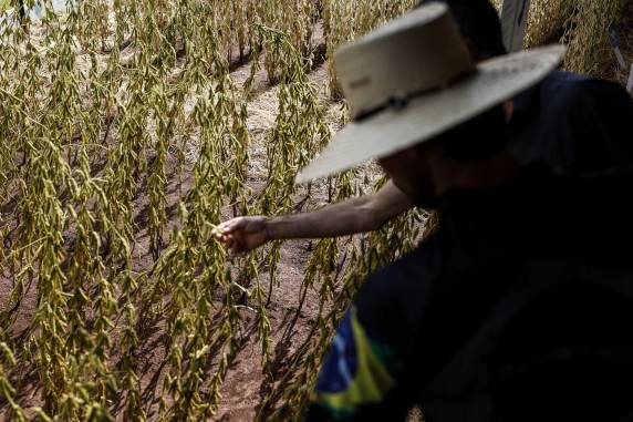 Projeção atualizada do ciclo agrícola 2025/2026 foi apresentada na Expodireto. Danos devem ser menores do que no ano passado, mas se mantêm persistentes