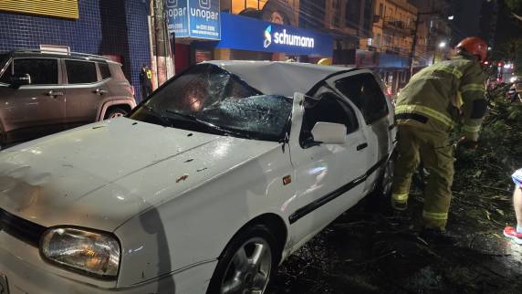 Temporal derruba árvores, atinge carro e deixa homem ferido em Passo Fundo - foto 3