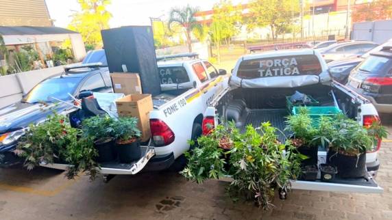 Brigada Militar apreendeu plantas, mudas e equipamentos utilizados na produção de entorpecentes no bairro Boqueirão