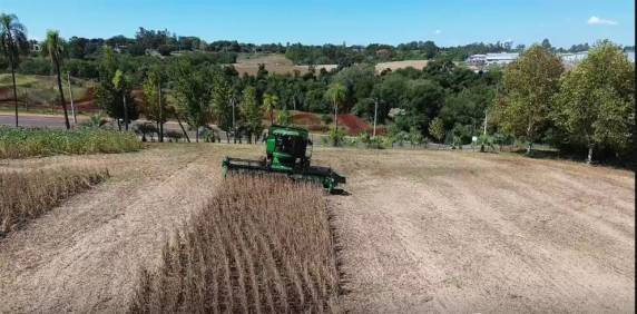 Lavoura experimental da FAHOR une tecnologia, dados e capacitação prática para formar profissionais e aprimorar a eficiência no campo