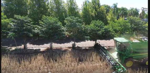 Lavoura experimental da FAHOR une tecnologia, dados e capacitação prática para formar profissionais e aprimorar a eficiência no campo