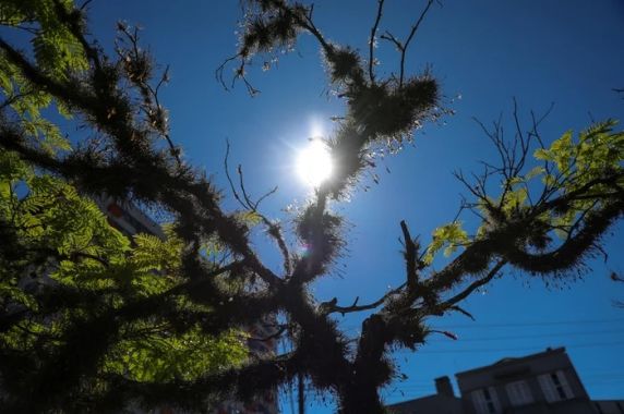Termômetros podem registrar mínima de 3°C nas primeiras horas do dia; veja a previsão