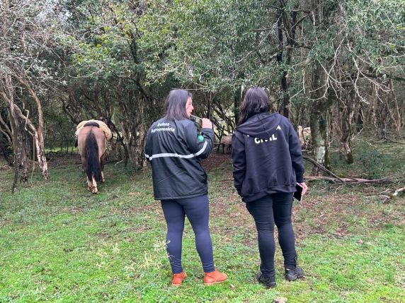 Operação Pampa fiscaliza propriedades rurais e reforça combate ao crime no campo nas Missões - foto 3