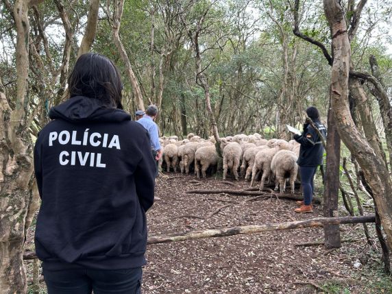 Ação integrada da Polícia Civil, Brigada Militar e Seapi realizou inspeções em Bossoroca e Santo Antônio das Missões; possíveis irregularidades serão apuradas