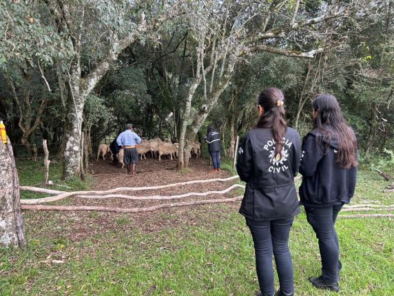 Operação Pampa fiscaliza propriedades rurais e reforça combate ao crime no campo nas Missões - foto 2