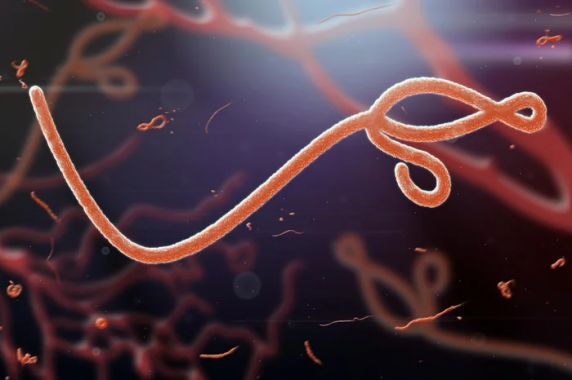 Homem de 64 anos retornou de Uganda e testou positivo para malária. Material coletado será analisado pela Fiocruz, enquanto pessoas próximas passarão por acompanhamento durante 30 dias