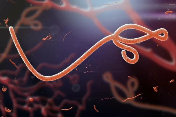 Homem, de 64 anos, esteve em Uganda, país africano que enfrenta surto da doença