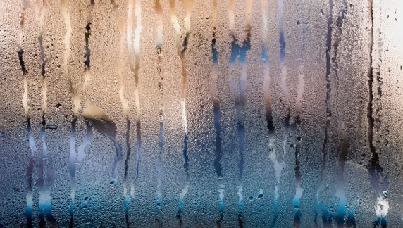 Massa de ar frio derruba temperaturas e pode marcar -6°C em Santa Catarina