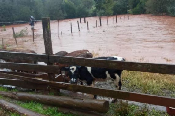 Chuva provoca alagamentos e suspensão de aulas em cidades do norte e do noroeste do RS - foto 3