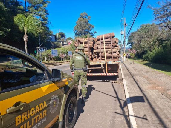 Responsável pelo transporte não apresentou o Documento de Origem Florestal (DOF), exigido pela legislação ambiental