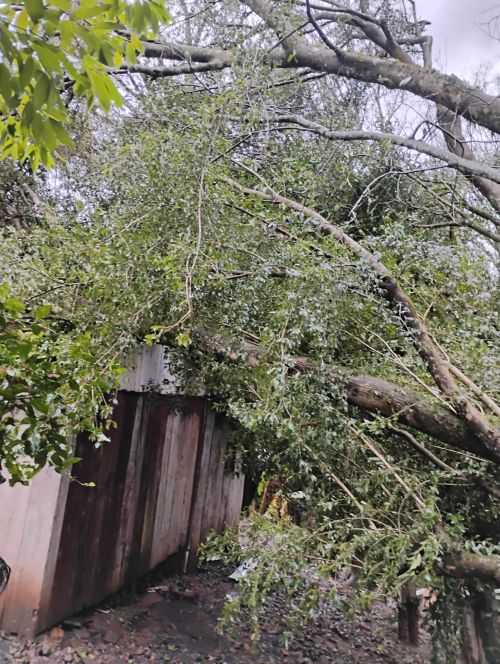 Vento forte, chuva intensa e granizo causaram danos à residência em Lajeado Grande; Defesa Civil e equipes municipais prestam atendimento à moradora.