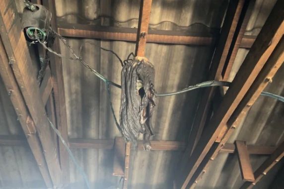 Imagens mostram destruição dentro da casa de professora encontrada morta em Constantina - foto 3
