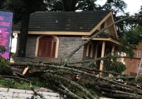 Fenômeno conhecido como microburst provoca fortes rajadas de vento em áreas localizadas; confirmação depende da análise de dados meteorológicos e dos danos registrados