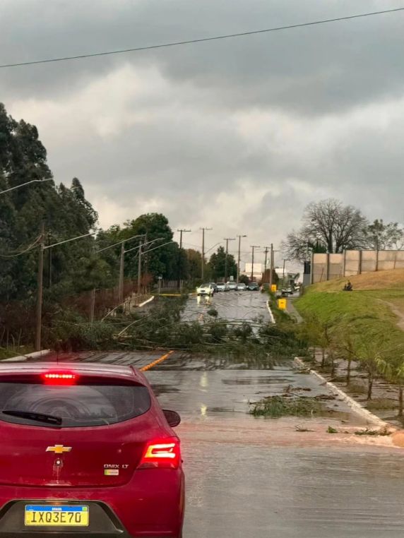Temporal causa estragos em Não-Me-Toque e pode ter sido provocado por microexplosão - foto 3