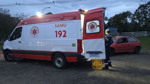 Cavalo morre após ser atingido por carro na ERS-324, em Passo Fundo - foto 3