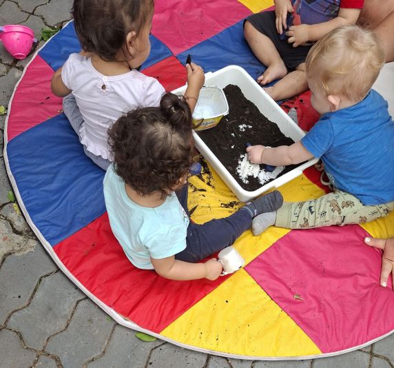 Mostra "Entre sementes e descobertas: uma experiência na nossa horta" será inaugurada no dia 12 de agosto e marca mais uma etapa do programa Prosas com a Escola