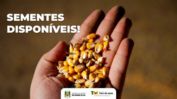 Produtores podem retirar sementes das variedades Agromem, Santa Helena, LG e Biomatrix