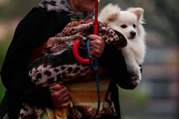 Avanço de uma massa de ar frio afasta o mau tempo no Estado, embora avisos de tempestade sigam vigentes na divisa com Santa Catarina